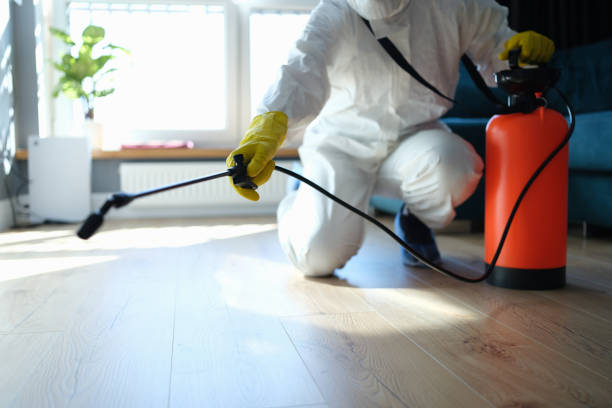 Reliable Odor Removal contractor in Center Point, IA by Trauma Clean Pros